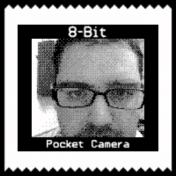 Pocket Camera   Game