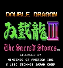 Double Dragon 3 Deluxe Jogo