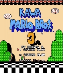 Kawa Mario Bros 3 Jeu