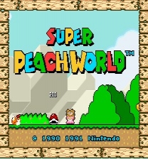 Super Peach World DX Game