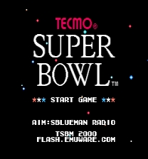 Tecmo Super Bowl: 2001 Game